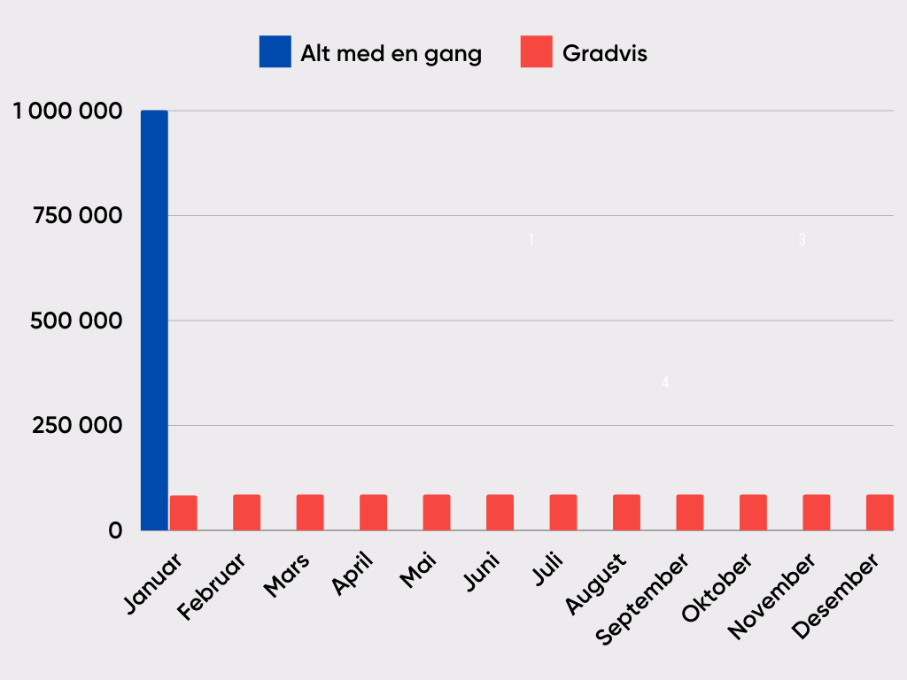 Alt med en gang eller gradvis investering?